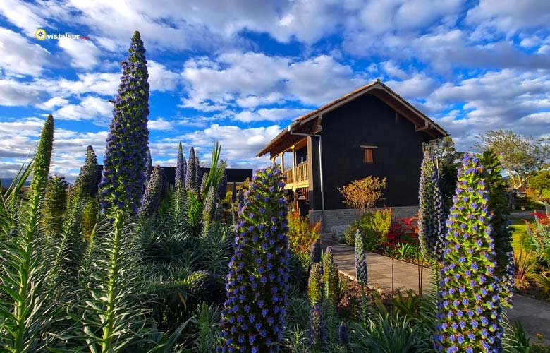 Quinceaños Parque Botánico